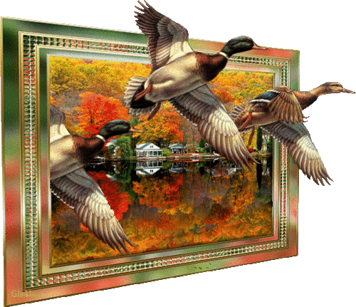 őszi állatok_166.gif